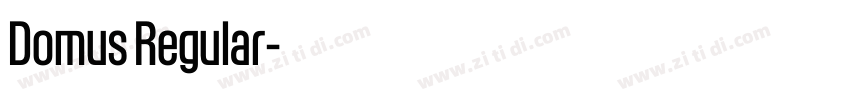 Domus Regular字体转换 Domus Regular字体转换